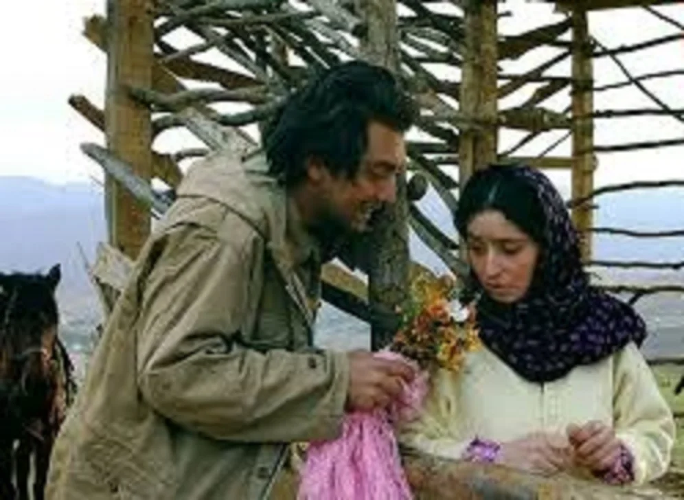 بهرام رادان