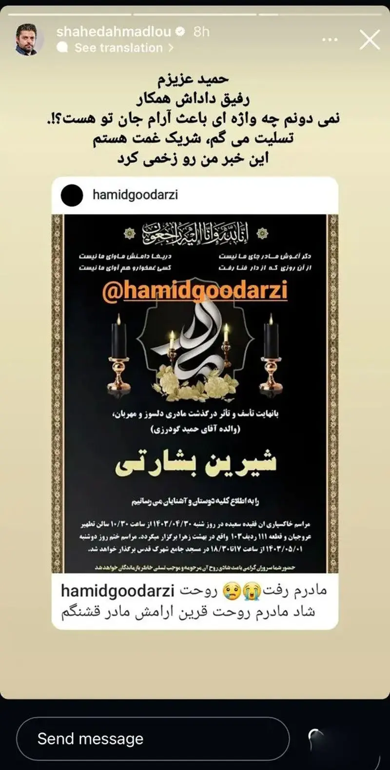 حمید گودرزی