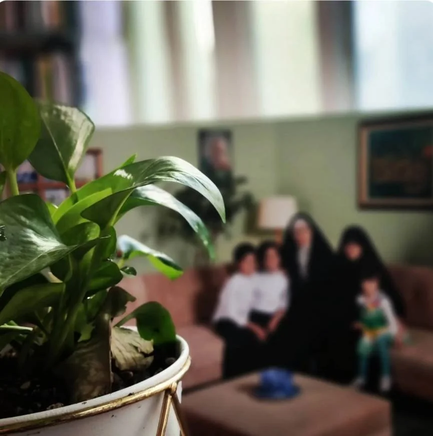 همسر محمدرضا شهبازی 