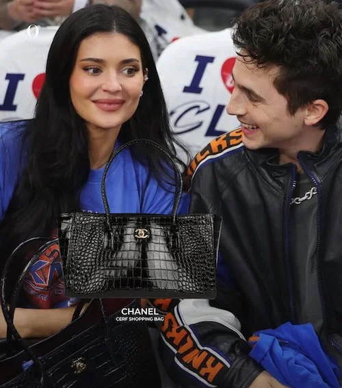 کالکشن کیف‌های افسانه‌ای کایلی جنر