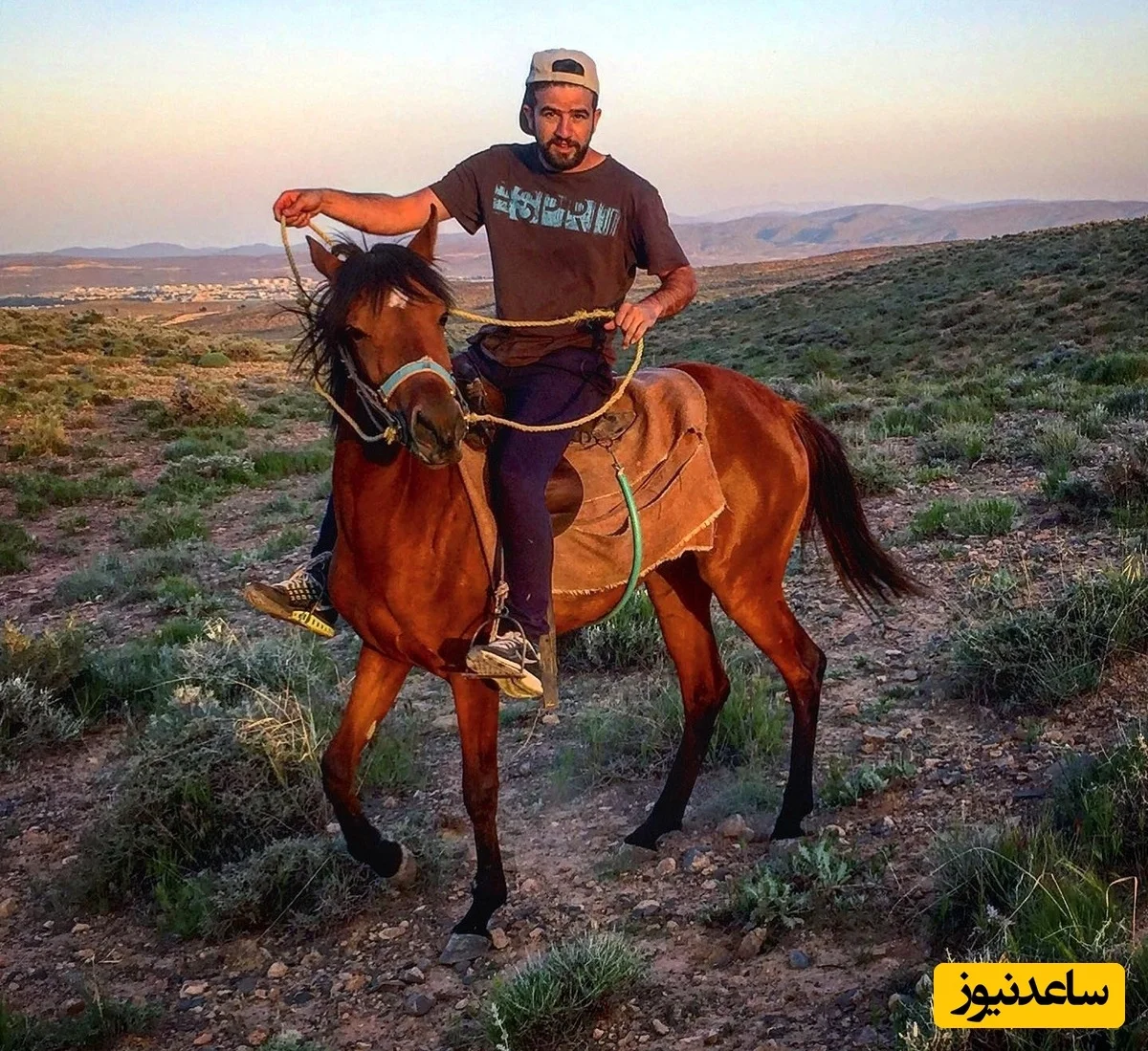 بهنام داوری