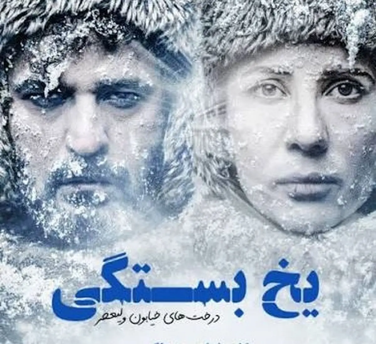 ماجرای عشق نافرجام  مجتبی پیرزاده و سارا بهرامی - تصویر شاخص